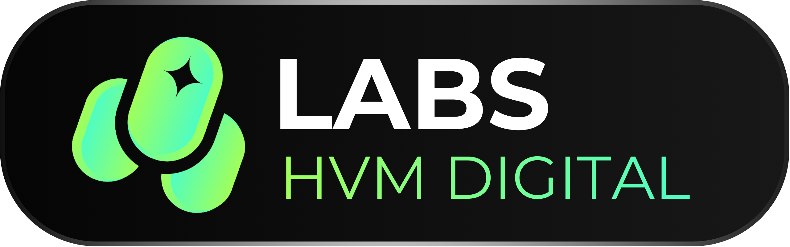 HVM Labs Logo